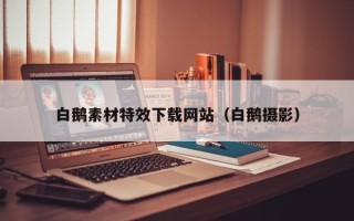 仁怀白鹅素材特效下载网站（白鹅摄影）